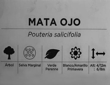 grabao laser de placa informativa metálica